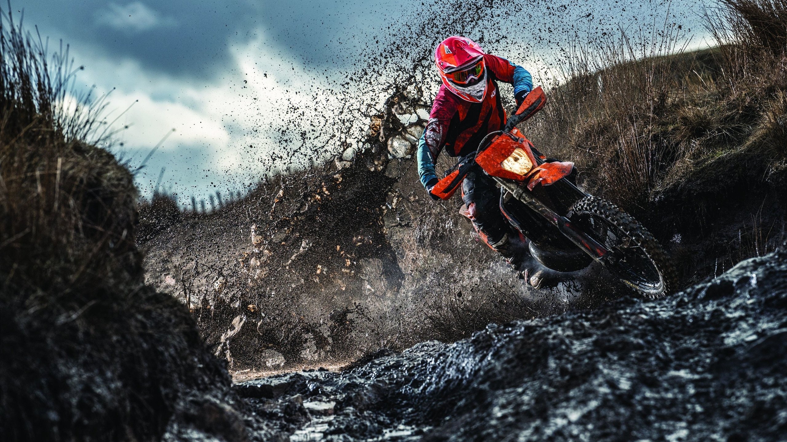 青少年体育活动组织协调,实施青少年体育活动